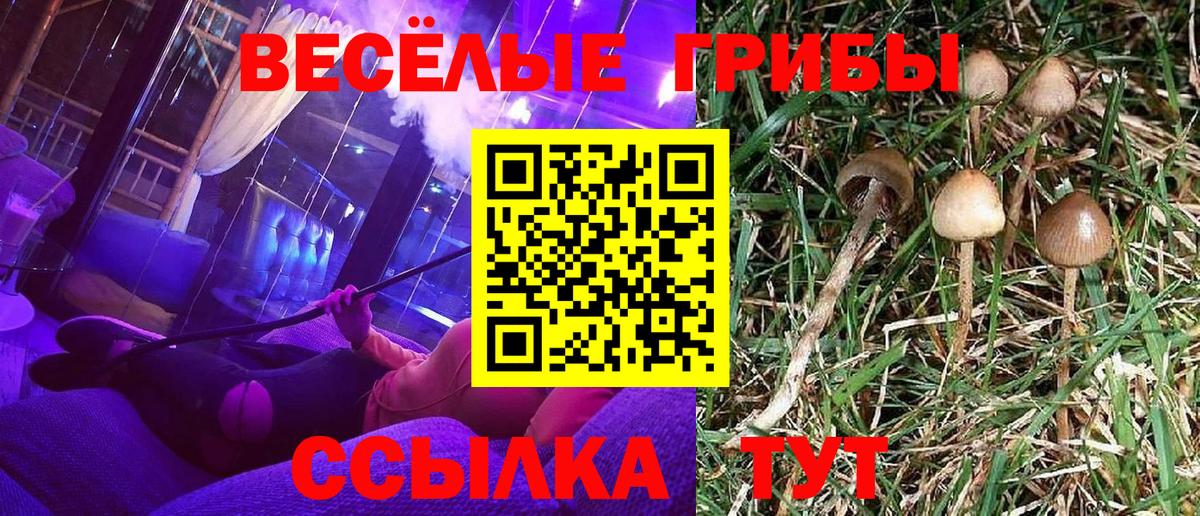 Рыбинск  Галлюциногенные грибы мухоморы  Псилоцибиновые грибы MAGIC MUSHROOMS  Вход с VPN 